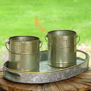 Set of 2 Galvanised Indoor Outdoor Garden Planter Pots and Tray