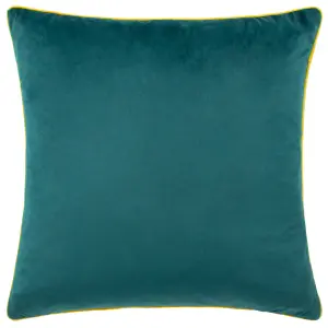 Paoletti Meridian Velvet Polyester Filled Cushion