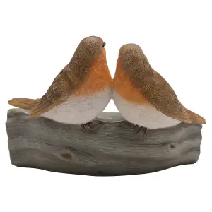 Country Living Robin Pair Bird Bath