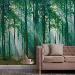 Grandeco Photographic Forest Sunlight Through Trees 3 panel repeatable mural 2.8 x 1.59m