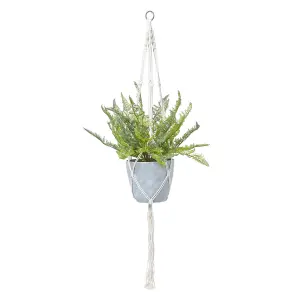 Homescapes Green Fern Hanging Plant, 95 cm