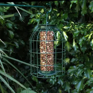 Metal Hanging Nut Feeder With Bird Cage With Squirrel Guard