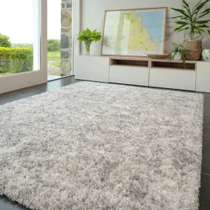 Super Soft Mottled Tonal Silver & Grey Shaggy Area Rug 200x290cm