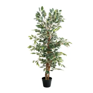 Blooming Artificial - 120cm / 4ft Variegated Faux Ficus Tree