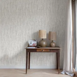 Grandeco Rocks Distressed Plaster Effect  Plain Blown Vinyl Wallpaper, Grey