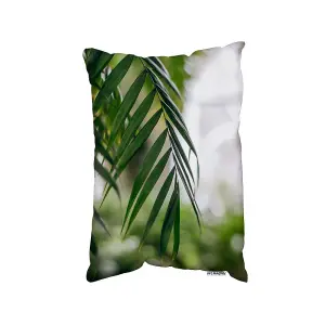 Closeup Of Green Palm Leaf (Cushion) / 30cm x 45cm