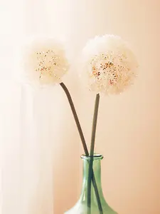 Fiori 72cm Allium Stem Ivory Flower Artificial Plant Foliage