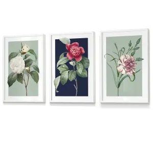 Set of 3 Framed Vintage Flowers Camellia Blue and Green / 30x42cm (A3) / White