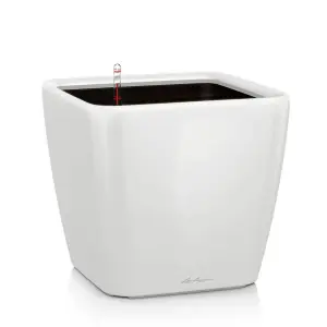 LECHUZA QUADRO LS 35cm Square Planter, White High-Gloss Plastic Self-watering Planter with Substrate and Water Level Indicator