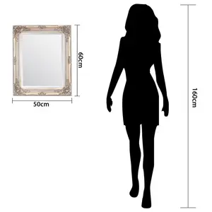 Andrews Flat Wall Mirror Champagne / 50cm x 60cm W