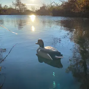 Mallard Duck Hunting Shooting Floating Decoy Pond Decoration Large