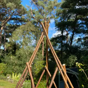 Expanding Willow Garden Obelisk (1.2m) Ideal for Climbing Plants