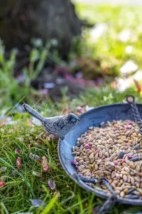 Vintage Metal Hanging Chain Bird Feeder for Wild Birds