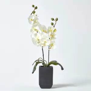 Homescapes Set of 2 Cream & Pink Artificial Orchids in Black Ceramic Pots, 55 cm