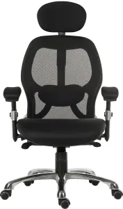 Cobham Mesh Executive Chair Black with adjustable lumbar support and height adjustable armrests