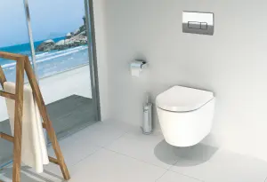 Toilet Flush Button Replacement - Dual Button Toilet Flush Plate - Pneumatic Technology