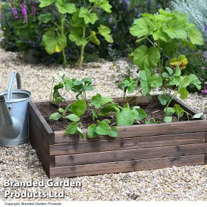 Wooden Raised Garden Planter Treated Fir Wood Outdoor Flower Trough Herb Vegetable Bed Twin Pack (2 x Medium 80x60cm)