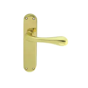 Astro Latch Door Handle (Set of 2) Polished Brass