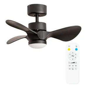 Cayleeann 24cm Ceiling Fan with LED Lights Black