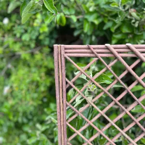 Set of 3 Willow Trellis Framed Panel (120cm x 45cm)