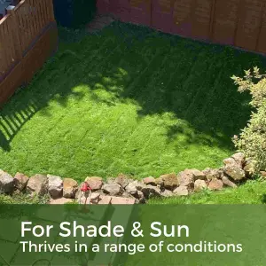 Shade & Sun Grass Seed - Lawn Seed for Shaded Areas 15-45m²