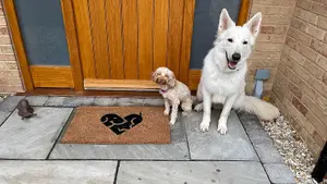 Coco&Coir Door Mat Rubber Backed Eco-Friendly Indoor Outdoor Heavy Duty Pet Themed Entrance Door Mat 45 x 75 cm PUPPY LOVE