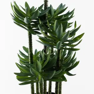 60cm Artificial Tropical Yukka in Planter