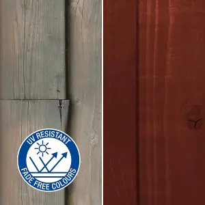 Roxil Wood Stain Preserver (1L Red Cedar) - 5 Year Protection for Indoor & Outdoor Wood. No VOCs, Fast-Drying. 5 m Coverage