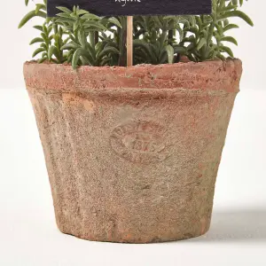 Homescapes Artificial Thyme Plant in Decorative Pot