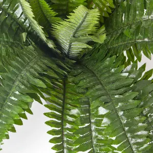 Homescapes Boston Fern in Pot, 60 cm Tall