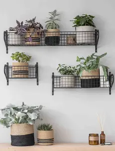 Wall Mounted Hanging Basket Shelf Powder Coated Steel Metal Rack Storage Shelving Bathroom Study H12 x W53 x D18.5cm)