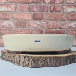 32cm Glazed Bonsai Pot - Oval - 32cm x 26cm x 7cm - White