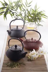 La Cafetire Cast Iron Japanese Teapot with Infuser Basket