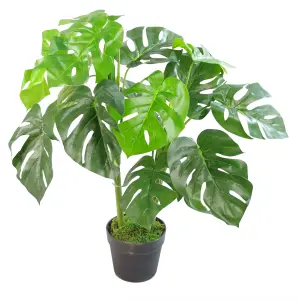 Artificial Monstera Plant - 80cm Monstera