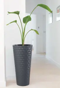 Round Tall Plant Pot Elegant Large Flower Indoor Outdoor Garden Planters Diamond Anthracite H 58cm x D 29.5cm