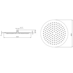 Venus Round Stainless Steel Chrome Rainfall Shower Head (W)250mm