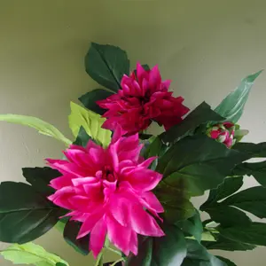 Artificial Dhalia  Plant Flowers Flowering Plant Pink Botanik