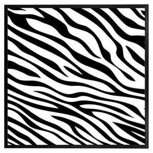 Zebra print (Picutre Frame) / 24x24" / White