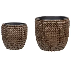 Set of 3 Plant Pots BERBERIS PE Rattan Dark Brown