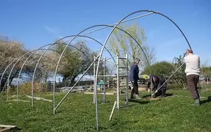 14ft x 36ft Straight Sided Polytunnel Kit, Heavy Duty Professional Greenhouse