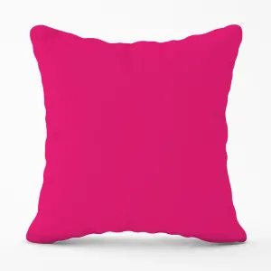 Vivid Pink Cushions 45cm x 45cm