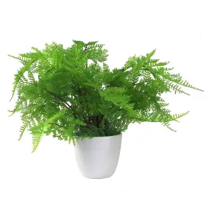 30cm Artificial Potted Lady Fern (Athyrium Filix-Femina)