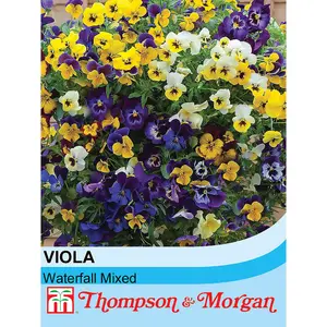 Viola Waterfall Mixed 1 Seed Packet (40 Seeds)