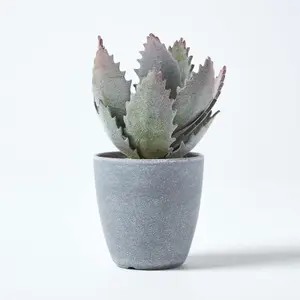 Homescapes Purple and Green Aloe Vera Artificial Succulent in Grey Pot, 21 cm Tall