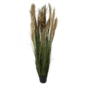 180cm Realistic Natural Pampas Grass Plant