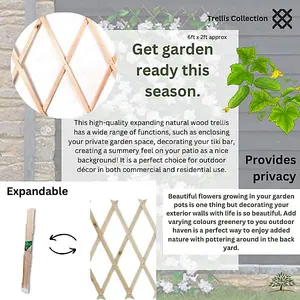 180cm x 45cm Home and Garden Expanding Wooden Garden Trellis - Robust Climbing Plant & Vegetable Support