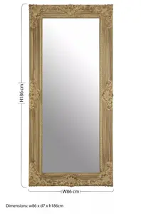 Interiors by Premier Chloe Wall Mirror