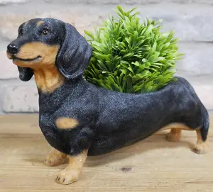 Dachshund shaped resin indoor or garden patio plant or herb planter ornament, novelty Sausage Dog lover gift