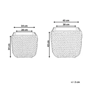 Set of 2 Plant Pots BERBERIS PE Rattan Black