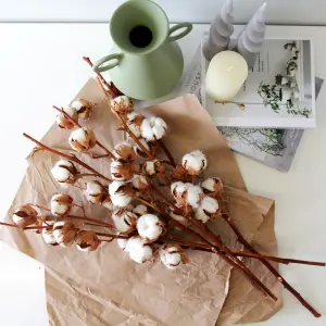 6 x Natural Dried Cotton Stems - Approx. 60cm in Height - Dried Flowers - Ideal for Home Décor - Flower Arranging